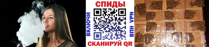 Бутират буратино Купить где Вышний Волочёк