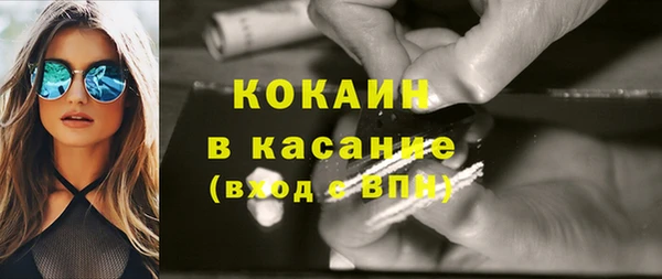 хмурый Инта