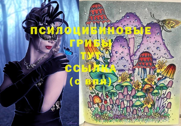 хмурый Инта