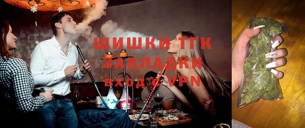 хмурый Инта