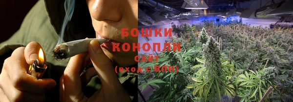 круглые Инсар