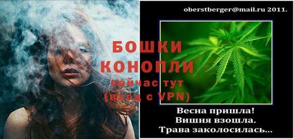 хмурый Инта