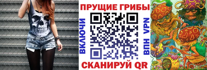 Купить  Вышний Волочёк  Галлюциногенные грибы мицелий 